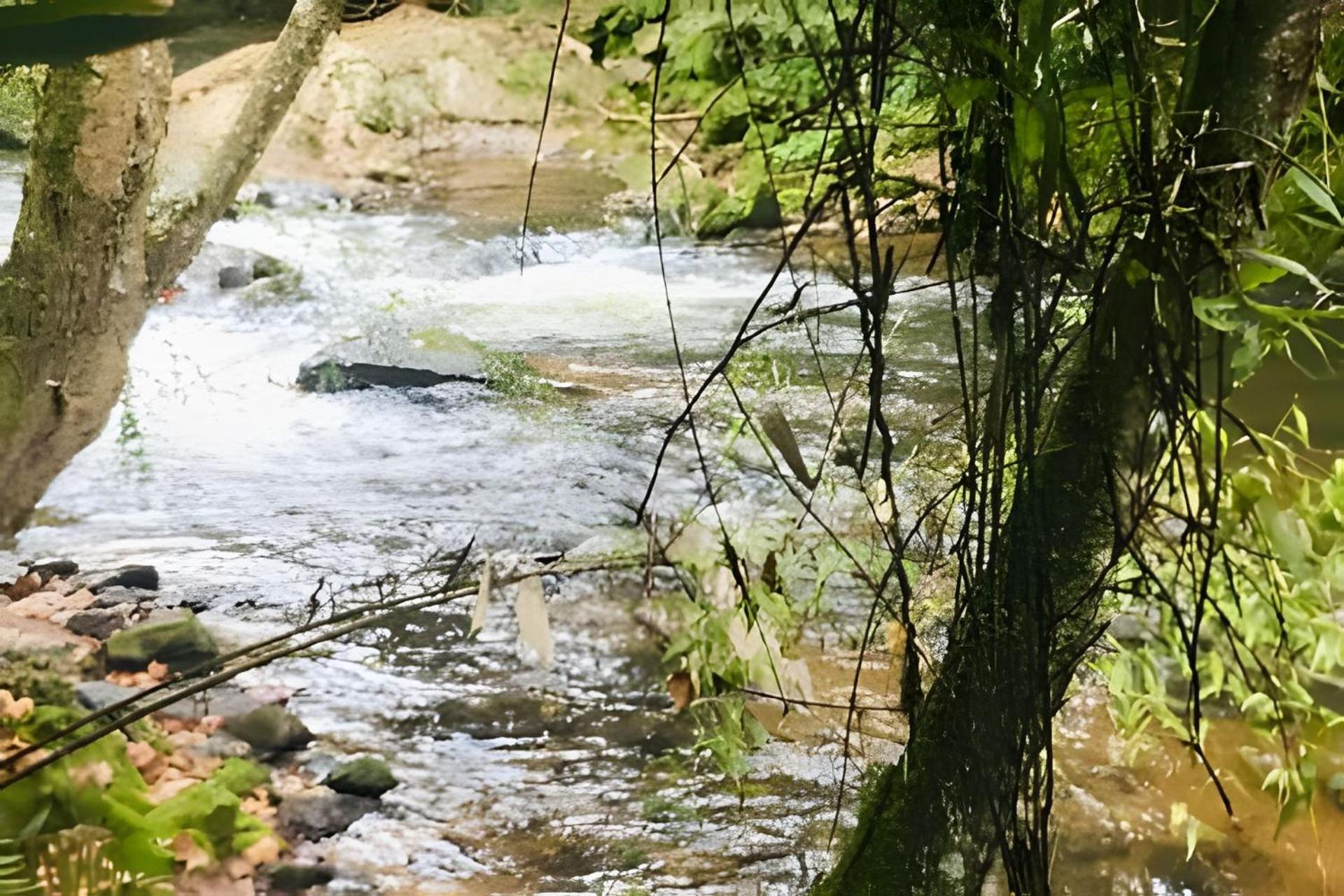 Chale Regiao Turistica - Conforto Na Natureza Campos do Jordao Bagian luar foto
